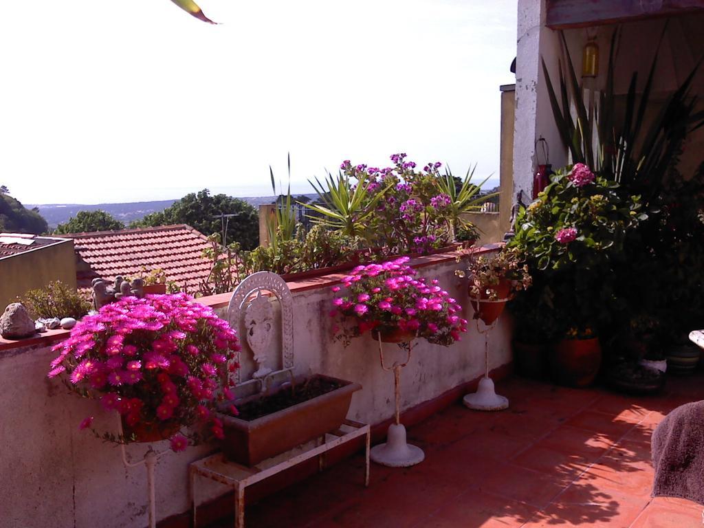 Isa'S Home Sintra Eksteriør bilde